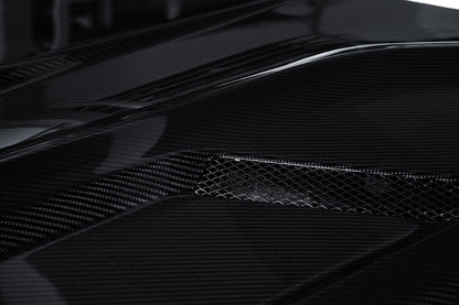 Dry Carbon Fiber BMW X6 (G06) Hood (Paktechz Design)