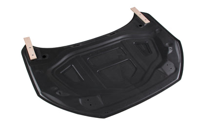 Dry Carbon Fiber Audi RS3 (8Y) Hood (Paktechz Design)