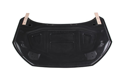 Dry Carbon Fiber Audi RS3 (8Y) Hood (Paktechz Design)